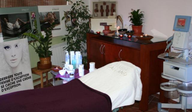 Saraya Wellness & Penzion Teplice Eksteriør bilde