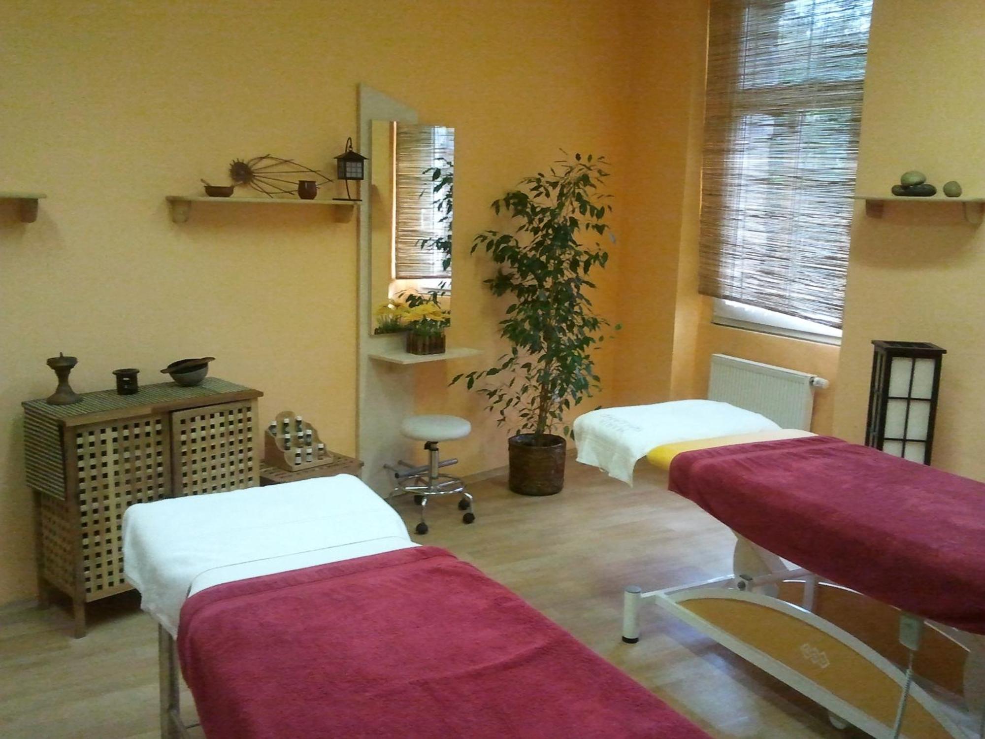 Saraya Wellness & Penzion Teplice Eksteriør bilde